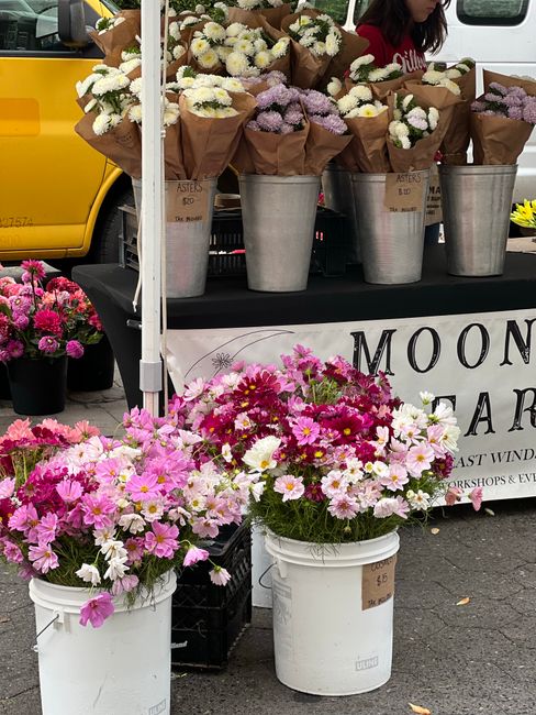 A display of fresh flower arrangements at a flower shop, featuring bouquets of white, purple, and pink chrysanthemums, daisies, and asters wrapped in brown paper, arranged in tall, silver metal bucket