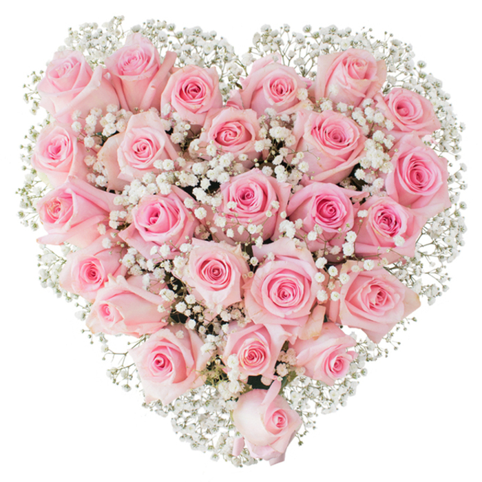 A perfect heart sculpted from an abundant gathering of pale pink roses rests against a stark white background, the composition so dense that at first glance the surface appears uniformly velvety. Closer inspection reveals the roses' individual personalities: some are tight, satiny buds with edges the colour of new dawn, others are partially opened to reveal soft, spiralling centres in slightly deeper pink, each petal catching soft, broad light and throwing subtle shadows that give depth to the heart. Interlaced among the roses are profuse sprays of white baby's breath (Gypsophila), their tiny airy florets like pinprick clouds that lift the arrangement and provide an ethereal contrast to the heavier rose heads. The bright, neutral backdrop accentuates the bouquet's pastel harmony and keeps the eye focused on texture and form rather than location, yet the piece still feels rooted in a local rhythm - the kind of thoughtful gift you might have ordered for a Beckton Park picnic, a sentimental delivery to a friend near the King George V DLR, or a romantic table centre after an evening by the Royal Docks. Handling cues are evident in the meticulous symmetry and compact construction, hallmarks of seasoned floral craft that preserve freshness and shape during transit. This heart-shaped bouquet communicates warmth and tenderness - fitting for Valentine's sentiments, anniversaries, weddings, or quiet remembrances - its soft hues and lace-like gypsophila whispering of devotion, consolation, and the gentle art of giving flowers.