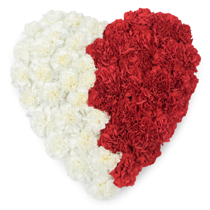A striking, top-down portrait of a heart-shaped floral tribute made entirely of tightly packed carnations, set against a pristine white backdrop so every detail stands out. The left side is a continuous field of creamy white carnations, their layered, ruffled petals forming a smooth, pillowy surface; the right side is filled with saturated red carnations whose compact blooms create a rich, velvety texture. The two halves are divided by a distinctive vertical edge that takes on a serrated, saw-tooth quality - a jagged, triangular-line seam of blooms that gives the heart a bold, emblematic profile. Under soft lighting the tiny ridges and shadows of each carnation are clear, the petals' crinkled fronds catching highlights and lending depth to the overall composition. Visually this composition strongly echoes national symbolism and can be read as a patriotic heart, particularly recalling the flag-like jagged separation of maroon and white used in Gulf iconography; as such it suits civic commemorations, national days or diplomatic tributes staged near the Royal Docks and Gallions Reach. The arrangement's tactile surface, subtle clove scent and meticulous construction communicate respect and pride - an expertly crafted piece that balances floral artistry with clear symbolic intent, designed to be noticed from across a room yet intimately felt up close.