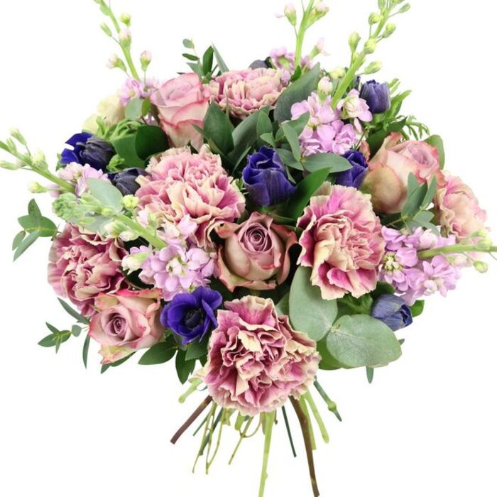 This hand-tied bouquet, photographed against a plain white background, appears almost sculpted in mid-air, every blossom deliberately placed to create balance and depth. Dominating the centre are large, fully opened garden roses in shades of dusty blush, warm nude pink, and soft mauve, their intricate spirals of petals forming a classic romantic core. Interwoven among them are plentiful ruffled carnations, each bloom a tapestry of colour with creamy beige and pale blush centres that melt into more saturated rose and plum-pink tones at the outer edges, giving the arrangement a plush, tactile richness. To one side and subtly throughout, velvety anemones and other deep indigo-blue blooms provide a luxurious pop of colour, including a standout royal blue anemone near the lower front, its dark, inky centre drawing the eye and grounding the softer hues. Pale lilac and lavender stock flowers rise delicately above and between the larger heads, their tiny clustered florets adding a gentle vertical rhythm and a hint of countryside charm. Framing the blossoms, you can see a mix of foliage: glossy dark green leaves, likely from the roses, contrast beautifully with the misty, rounded discs of silvery eucalyptus, giving both structure and a sense of natural movement. Slender green stems with small buds peek through, adding texture and the impression of freshness just in from the flower market. The tied stems are neatly gathered at the base, ready to slip into a favourite vase in a Beckton living room, perhaps looking out toward Beckton District Park. The bouquet feels perfect for weddings, anniversaries, or spring celebrations, radiating understated luxury and timeless elegance.