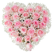 A densely arranged heart formed from dozens of soft, pastel pink roses sits against a pristine white backdrop, each bloom packed close to its neighbor so the overall shape reads as a single, velvety surface. The roses range from the palest blush at their outer petals to slightly deeper rose-pink toward each centre; some heads remain gently furled like satin buttons while others unfurl in delicate spirals that catch the light. Scattered throughout and framing the edges are tiny clusters of white baby's breath (Gypsophila), their cloud-like pinpoints of ivory creating a light, lacy contrast that sharpens the heart silhouette and adds an airy texture beneath the heavier rose blooms. Bright, even lighting reveals the satiny sheen of petals and a faint, sweet fragrance that seems almost audible - a hush of perfume that suggests morning delivery and freshly cut stems. The composition feels intimate and reverent, the meticulous placement of each rose speaking of careful hands and longtime floral craft; you can almost imagine a Beckton workshop table where stems were selected, wired and nestled to achieve that perfect symmetry. Against the white background the colours appear cleaner and more tender, suitable for romantic moments - anniversaries, a quiet Valentine's Day surprise, or a bridal table accent - but also gentle enough for memorials or celebrations of life. Texturally rich yet visually soft, this heart-shaped bouquet balances luxuriant density with the feather-light contrast of baby's breath, conveying tenderness, devotion, and a calm, hopeful beauty that reads clearly to anyone who sees it or holds it close.